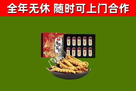 琼山回收冬虫夏草价格